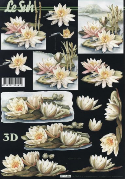 3D Schneidebogen Seerosen